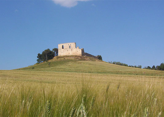 Paesaggi già visti di Pietro Amendolara 1369 0 Paesaggi già visti di Pietro Amendolara.JPG